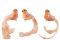 Uccello + Clip Piume Salmone