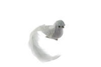 Bird+Clip Feathers Grey Assortment