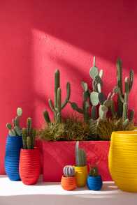 Cactus + Vaso Verde/Cemento Small