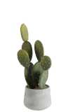 Cactus + Vaso Verde/Cemento Small