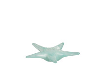 Paperweight Starfish Glass