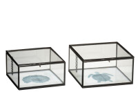 Set 2 Boxes Turtle/Shell