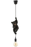 Lamp Bear Hanging Poly Dark Brown