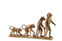 Scimmia Evoluzione Resina Antico