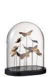 Bell Jar Butterflies Oval Glass