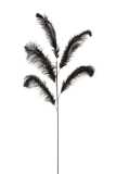 Ostrich Feather 5part Black Small