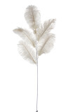 Ostrich Feather 5part Cream Small
